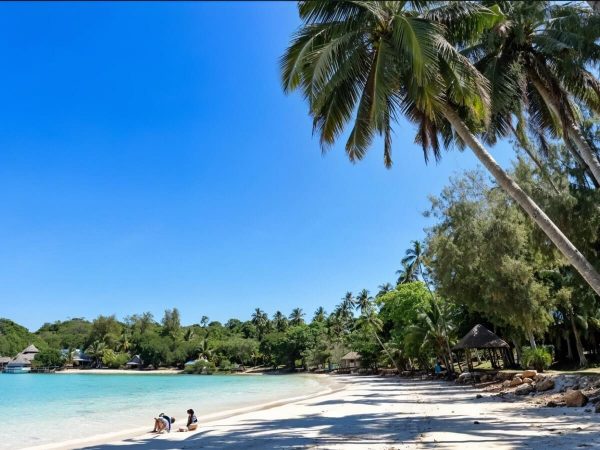 beach-palm-garden-retreat